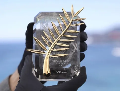 Palme d'or : quelles &eacute;tudes en audiovisuel pour esp&eacute;rer toucher le graal ?